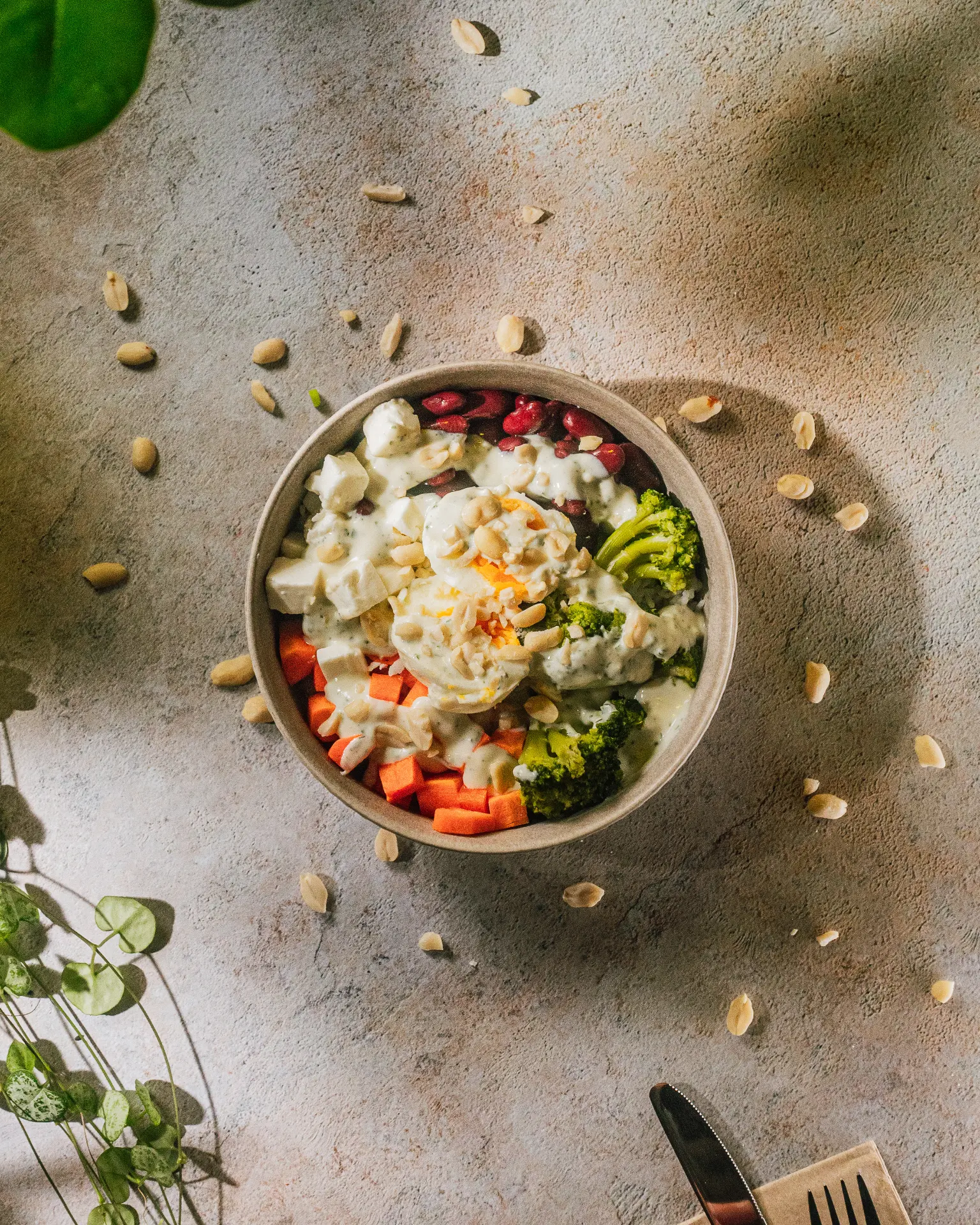 Fitness Bowl
