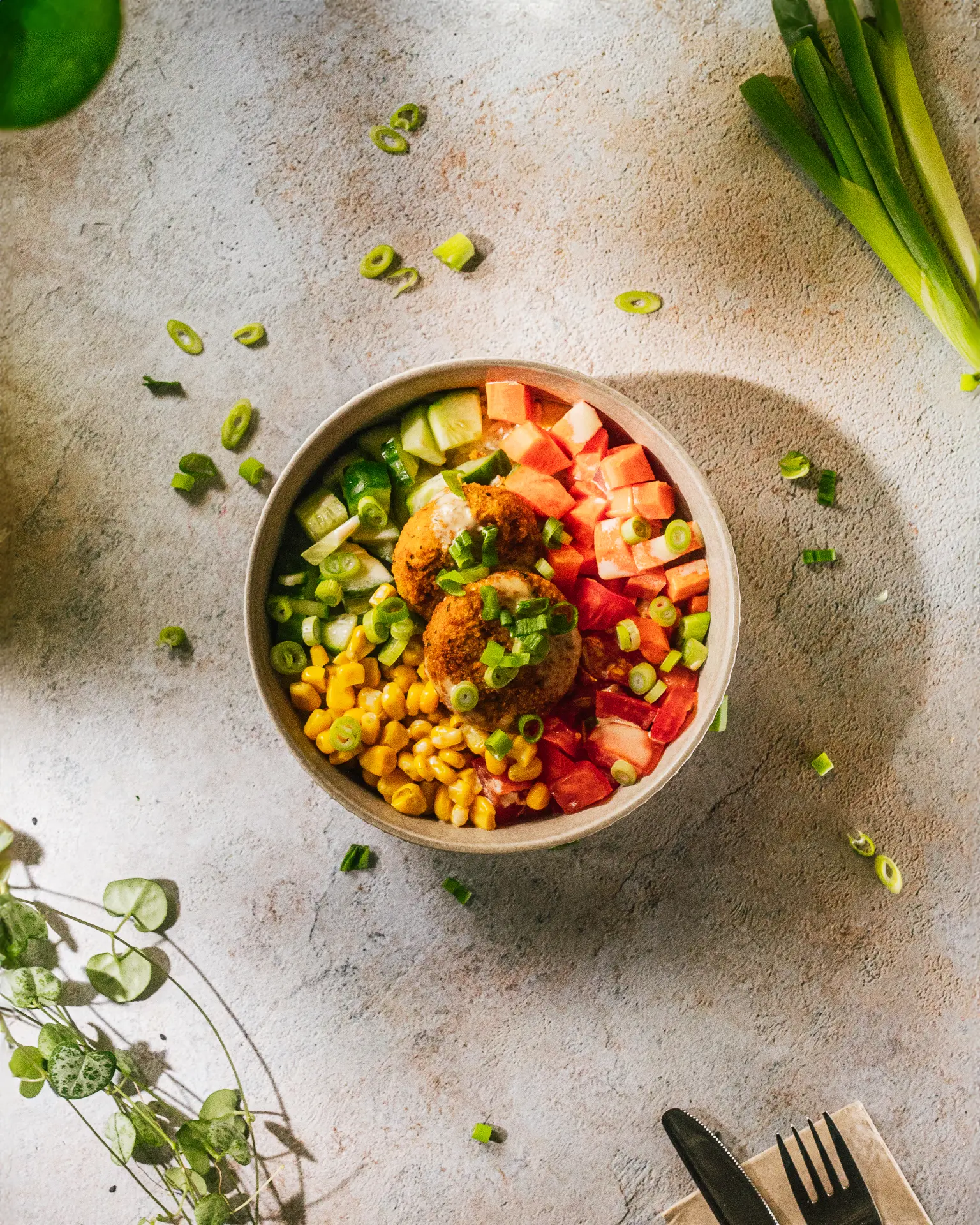 Vegan Dream